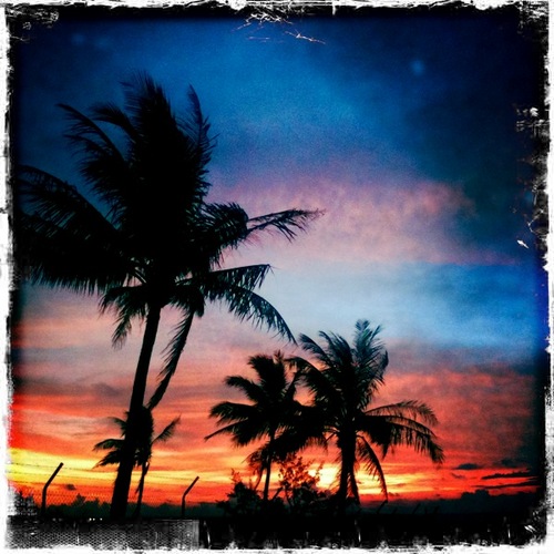 MissCrawfyCrawf's profile picture. 