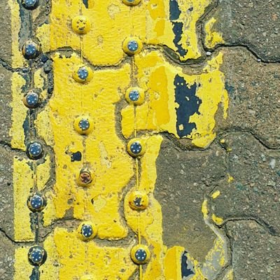 LorraineElder20's profile picture. 