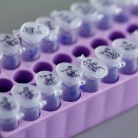 Müller-Tidow Lab (@labtidow) 's Twitter Profile