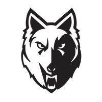 WKHS🐺GirlsLax(@wkhsglax) 's Twitter Profile Photo