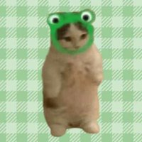 ash (@ash_horizons) 's Twitter Profile