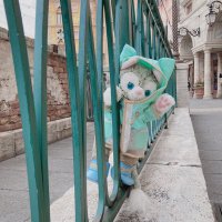 イーリス@🐱と👸推し🌋低浮上 (@iris_gelatoni) 's Twitter Profile