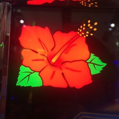 darh555's profile picture. 