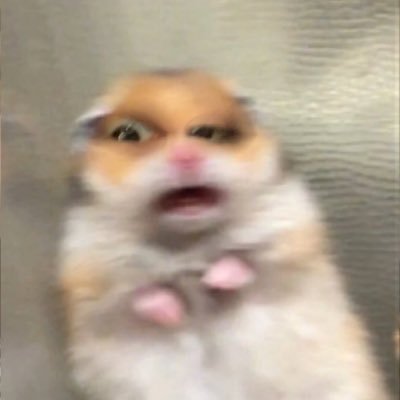 dipawwww's profile picture. what past is past