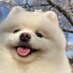 cha (@wtf_chagara) Twitter profile photo cha (@wtf_chagara) Twitter profile photo