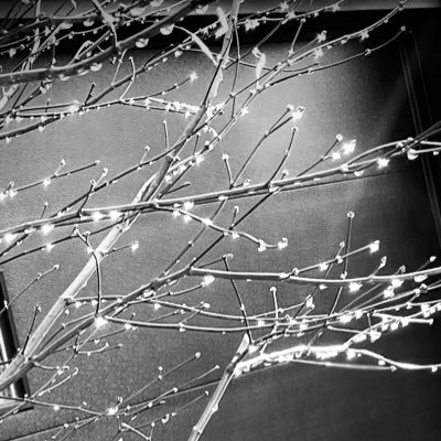 MyMiracleSoln's profile picture. The start of a Revolution in Green Cleaning is here with MMS!!! It's the Original All Natural Aromatherapy cleaning product to deliver REAL RESULTS!