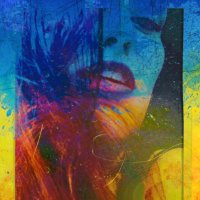 SilentBallerina (@silentballerina) 's Twitter Profile