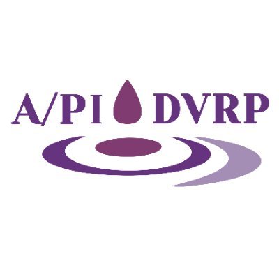 The Asian/Pacific Islander (A/PI) Domestic Violence Resource Project is a non-profit organization striving to end violence against women in the A/PI community.