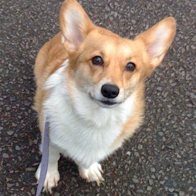 Cindy48bar's profile picture. No DMs plz.