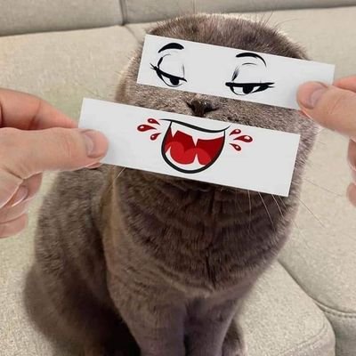 Jonatha93521848's profile picture. soy una persona... super super super.. genial me gusta el desmadre... podemos hablar de todo y de lo que sea.. soy un chavo de mente abierta... así que adelante