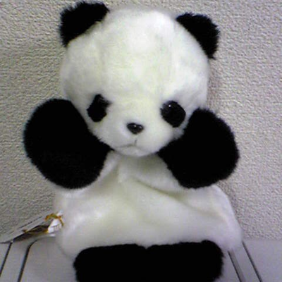shishido0518 Profile Picture