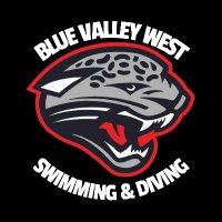 BVW Girls Swim & Dive(@bvwswimdive) 's Twitter Profile Photo