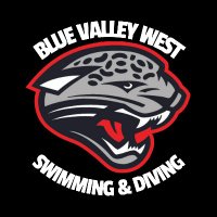 BVW Girls Swim & Dive (@bvwswimdive) 's Twitter Profile