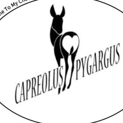 CAPREOLUS_PYGARGUS 公式ツイッター 【カプレオルス・ピガルガス】 ✧オリジナルlolitaブランド ✧ ✧ ✧ ✧お問い合わせはDMからお願いします♡