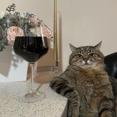 OrangeAA1's profile picture. 