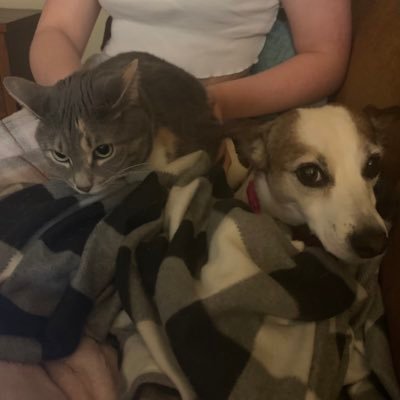 Marnie 12 years old 🐶 (rescue) | Charlie 7 years old 🐱 (rescue) We are very happy and taken care of! We love some snuggles and treats. Come get to know us!❤️