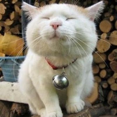 DZg404wkBT06Vza's profile picture. 