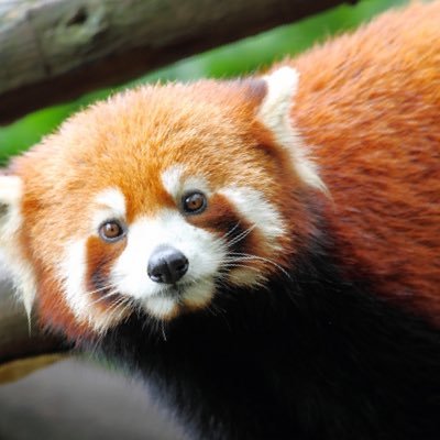 Windo89's profile picture. 