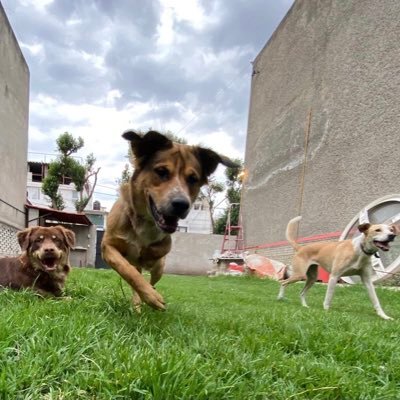 Fquiroz26's profile picture. 