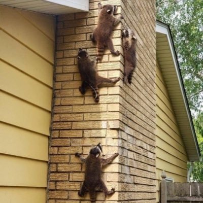 PooryMcNoHats's profile picture. you tried it again and you still didn’t get anything