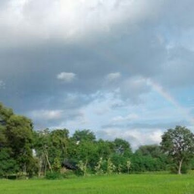 Sandeep68130951's profile picture. Nature