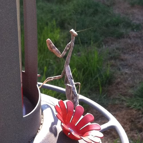 mudderof2's profile picture. 