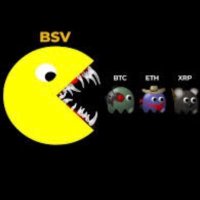 Bitcoin Apostle (@hqbsv) 's Twitter Profile