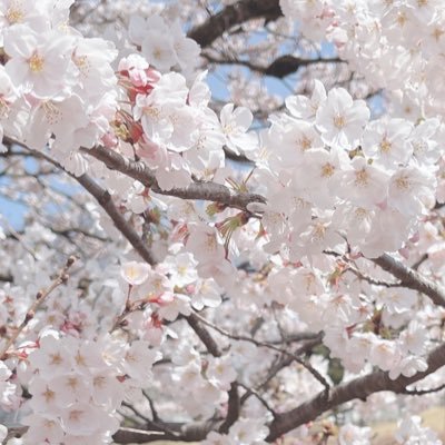 第二子出産後しばらくして、実母が毒親と呼ばれるような存在だったことに気づいてしまいました。今まで生きてきた20数年はなんだったんだろう。気づいてから3年半経ちました。無言フォローごめんなさい。