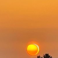 Swetpan (@pandyaswetal) 's Twitter Profile