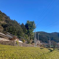 Komori Haruka (@komoriharuka) 's Twitter Profile Photo Komori Haruka (@komoriharuka) 's Twitter Profile Photo