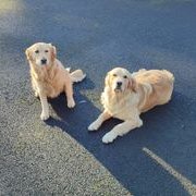 Aiden McGrath (@mcgraa00) 's Twitter Profile