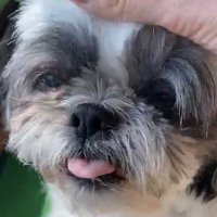 Jennie (@jennie_hee) 's Twitter Profile
