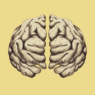 Daily Collection about Psychology | Philosophy | Wisdom. Follow for Timeless Thoughts to Reinvent Your Life. Learner | Writer.