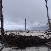 sidney (@sidneyadv74) 's Twitter Profile