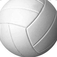 SDHS Volleyball SUPERFANS (@vballsuperfans) Twitter profile photo