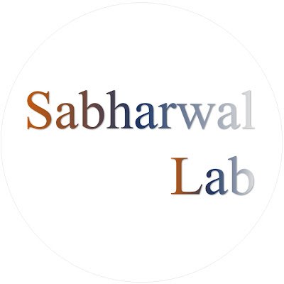 Welcome to the Sabharwal Lab! Our research is directed towards understanding control of circulation in cardiovascular and neurodegenerative diseases.