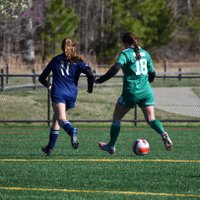Elise (@eliseviggiano) 's Twitter Profile
