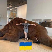 Yerkebulan Sairambay (@yerkebulanys500) 's Twitter Profile Photo