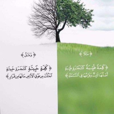 twtwt51361423's profile picture. ab dua 639@gmail.com