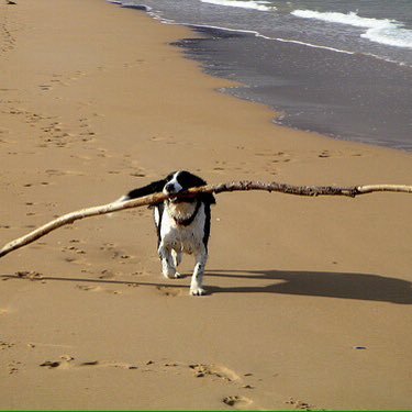 Lizpid's profile picture. 