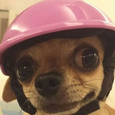 marinissim4's profile picture. falando besteira por aqui