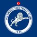 Millwall Türkiye 🏴󠁧󠁢󠁥󠁮󠁧󠁿🇹🇷 (@millwallturk) Twitter profile photo