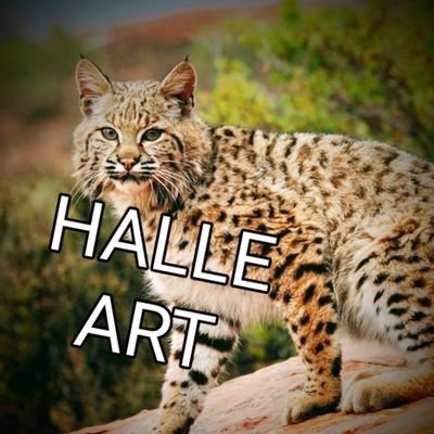 🎨 I'm Mrs. Wischhusen, sharing the artwork of the Halle Bobcats. We're an inquiry-based pK-8th grade school  🌈