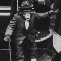 Why should I question the monkey, when I can question the organ grinder? -Aneurin Bevan