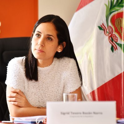 Presidenta de la Comisión de Trabajo 2022-2023 | Congresista de la República 2021-2026 | Integrante de la @BancadaCD_JP | Mujer de izquierda