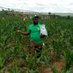 Harvestfield Industries Limited (@harvestfieldin1) Twitter profile photo Harvestfield Industries Limited (@harvestfieldin1) Twitter profile photo