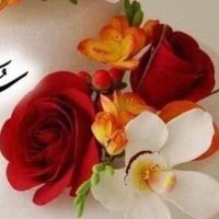 عادل (@slah26600156) Twitter profile photo