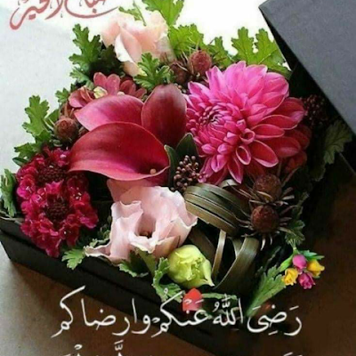 دراسات انسانية مقارنة