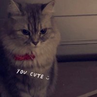 Abdullah (@bdcslx) Twitter profile photo