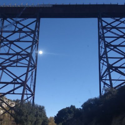 like_cult's profile picture. 